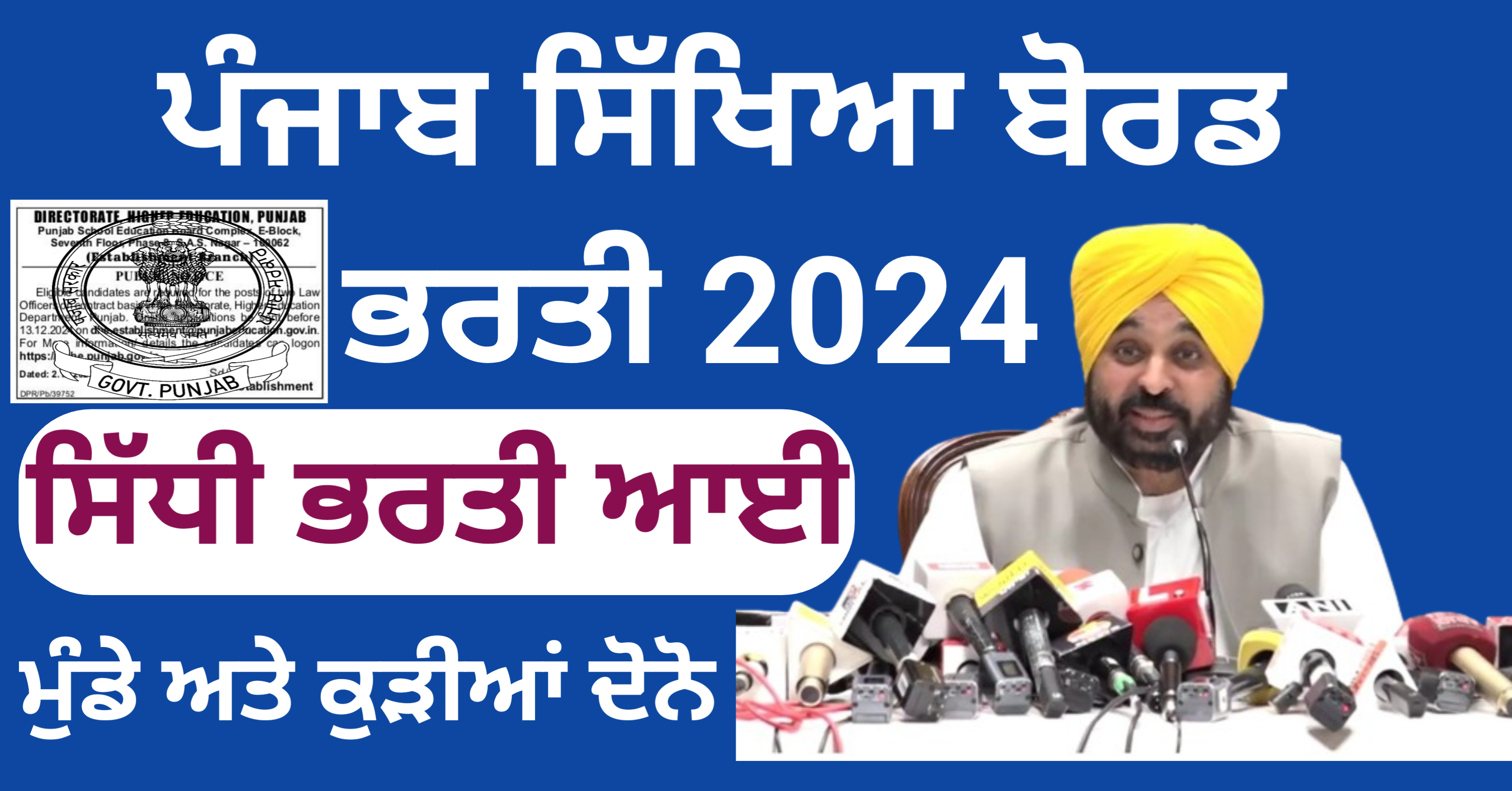 Punjab Education Recruitment Board 2024