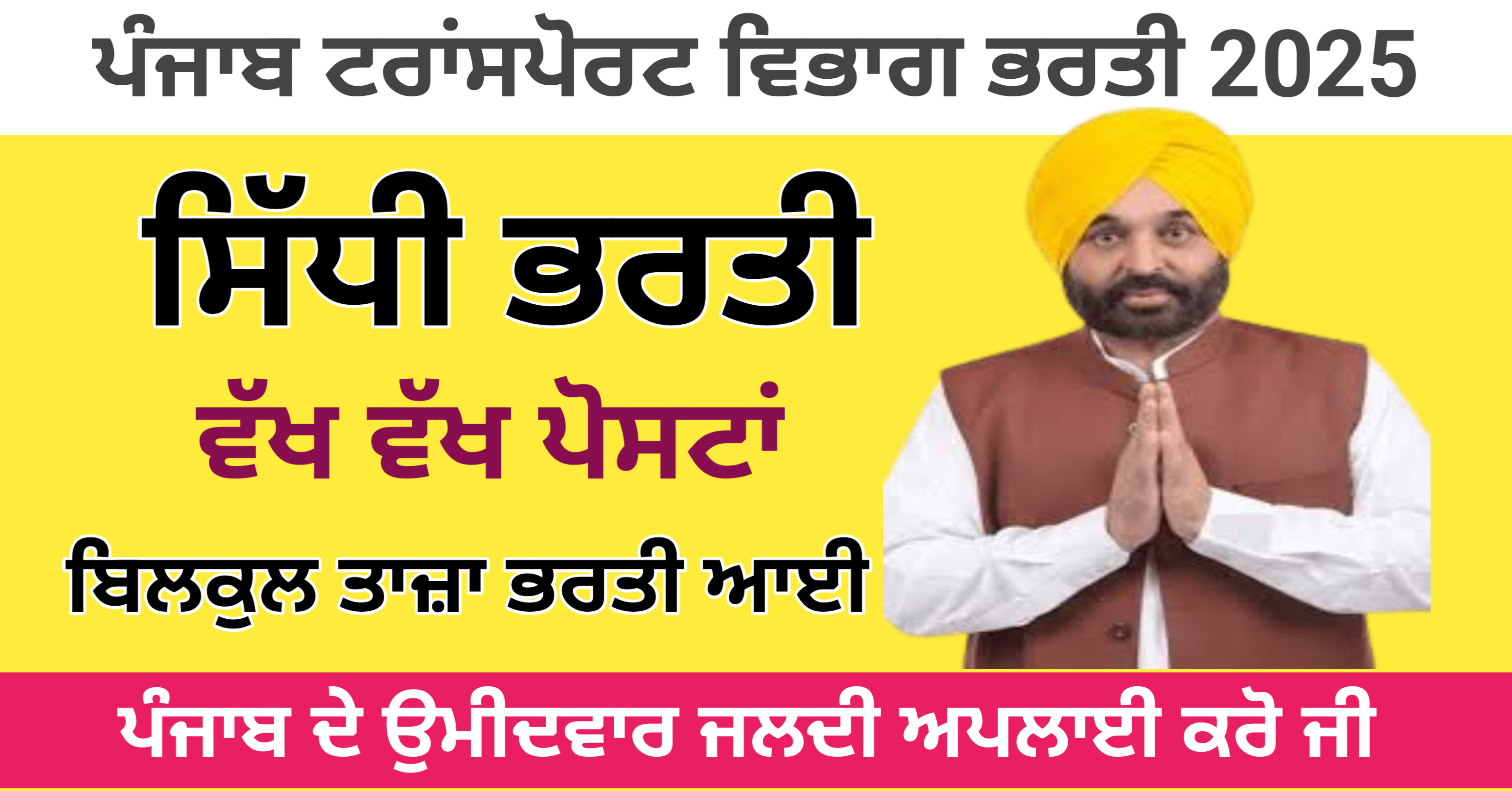 Punjab Transport Department Recruitment 2025