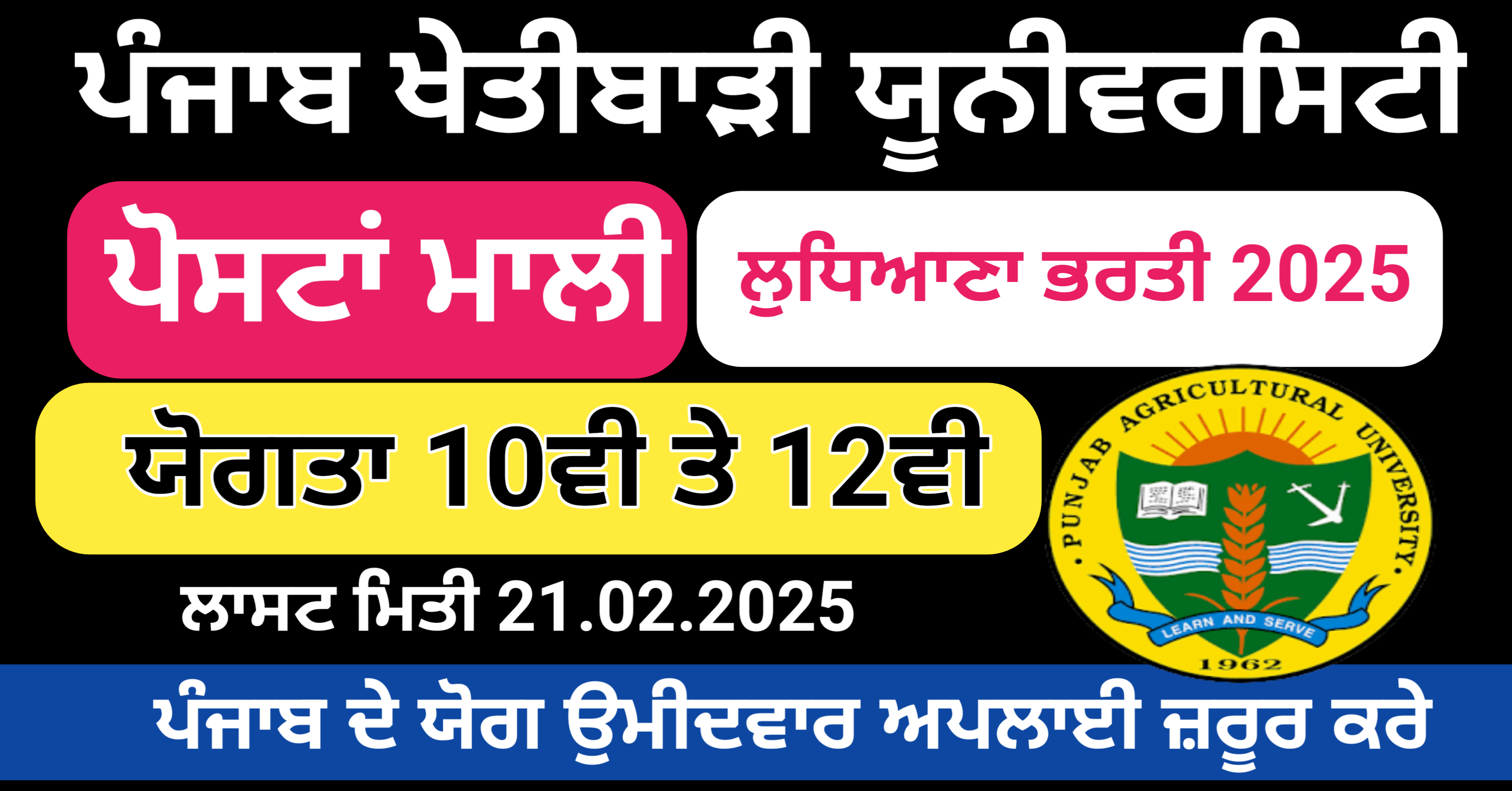 Punjab Agricultural University Ludhiana Mali Recruitment 2025