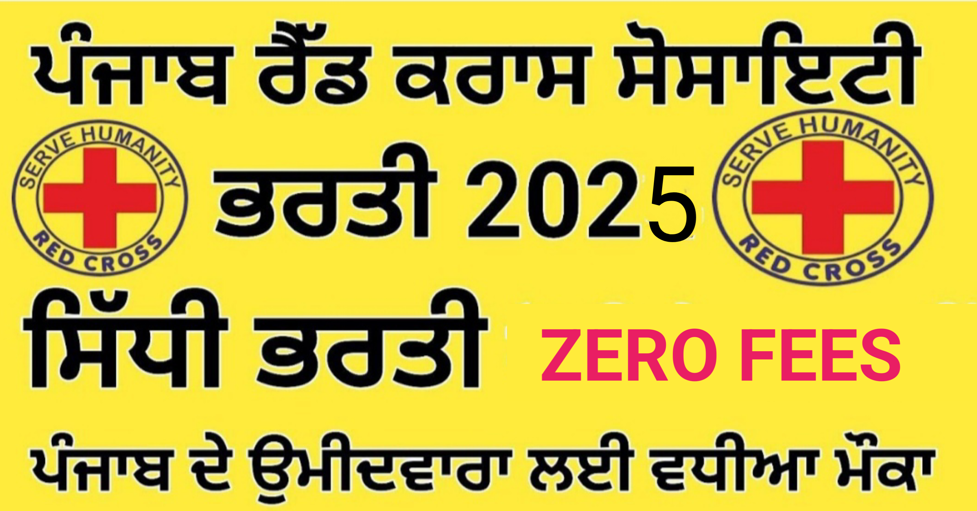 Punjab Red Cross Society Recruitment 2025