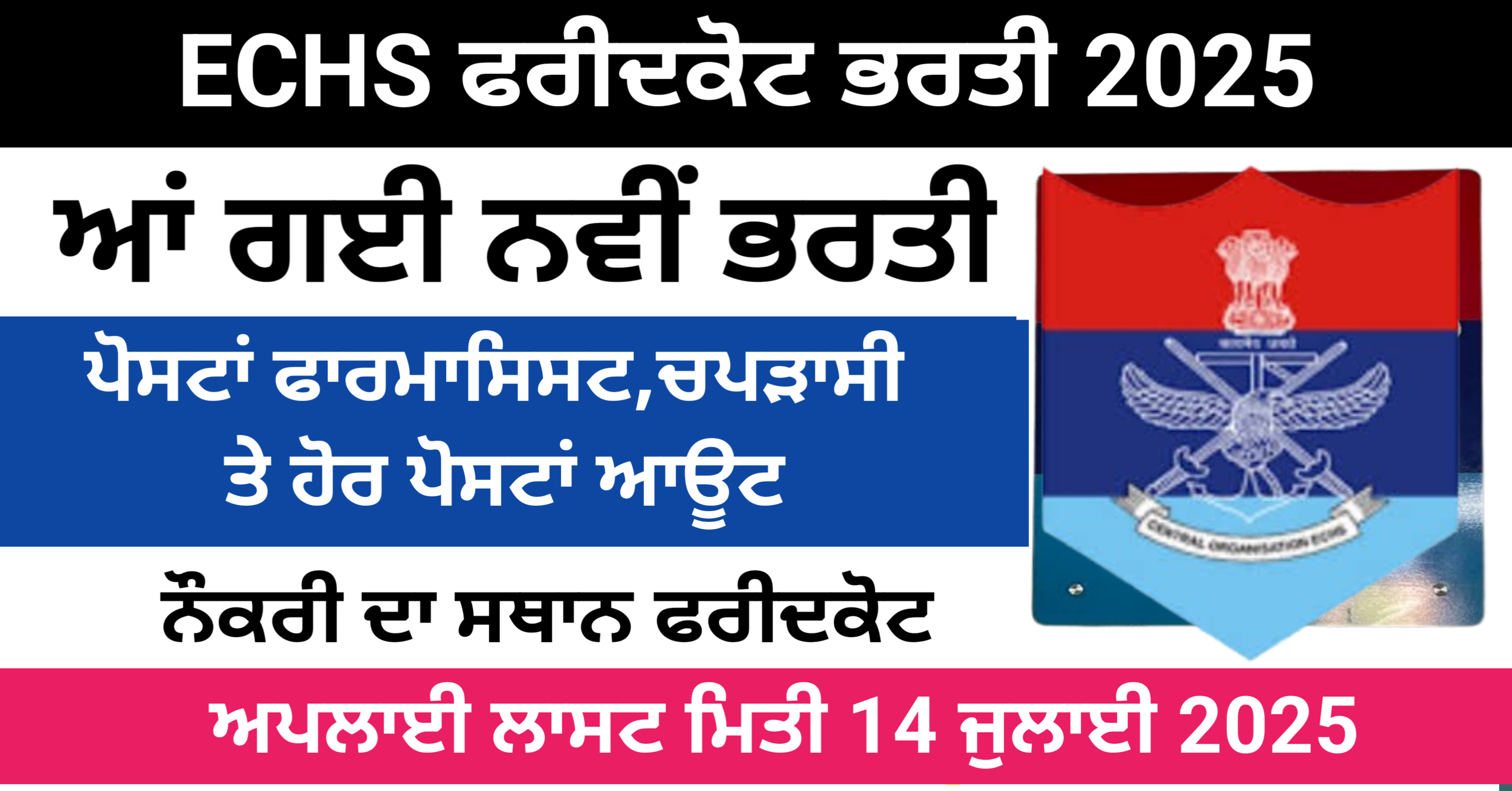 ECHS Faridkot Recruitment 2025